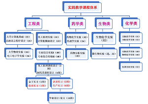 新工科与大健康背景下制药工程应用型人才培养模式<sup>*</sup>