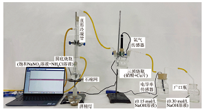 基于手持技术探究硝酸氧化性变化的浓度临界值<sup>*</sup>