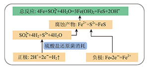 海洋出水陶瓷文物保护与修复中的化学<sup>*</sup>