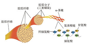 四川香肠风味与品质的化学密钥