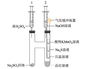 Improvement of SO<sub>2</sub> and Concentrated H<sub>2</sub>SO<sub>4</sub> Series Experiments Using H-Shaped Double Test Tubes