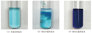 高中化学“探秘配合物”的项目式教学<sup>*</sup>——揭秘人体生命健康中的配合物