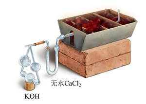 基于真实情境的“烃的衍生物”主题式复习教学设计——认识肉桂酸乙酯