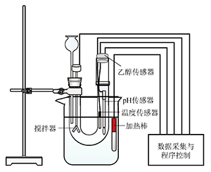 利用数字化实验探究乙酸乙酯分别与碳酸钠和氢氧化钠相互作用的差异<sup>*</sup>