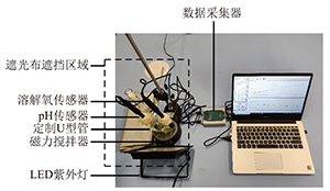数字化实验探究次氯酸光照分解反应<sup>*</sup>