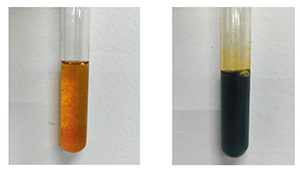 发展科学探究能力的化学实验教学<sup>*</sup>——氢氧化亚铁的制备