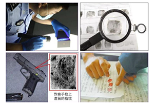 点纹成像:探寻稀土荧光粉奥秘的科普活动<sup>*</sup>