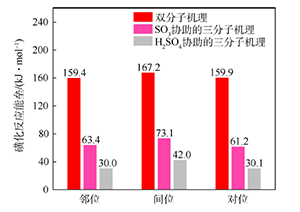 芳香化合物磺化反应机理的计算化学研究<sup>*</sup>