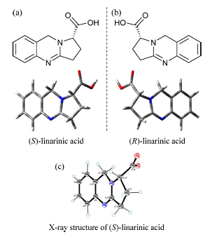 计算旋光光谱法在确定复杂天然产物绝对构型教学中的应用<sup>*</sup>