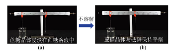 微焦距与延时摄影技术在中学化学教学中的应用<sup>*</sup>——饱和溶液