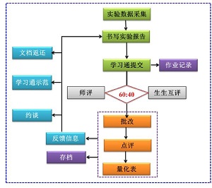 电子版无机化学实验报告书写、批改和点评<sup>*</sup>