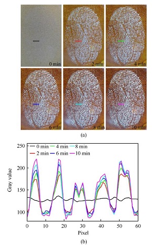 基于科教融合理念的法庭科学实验教学研究——电化学显现潜在手印<sup>*</sup>