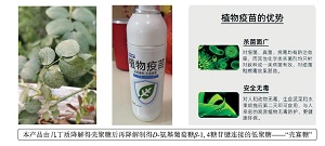 发展核心素养的跨学科问题驱动教学<sup>*</sup>——壳寡糖的抑菌性