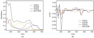 一阶导数光谱法测定染液组分浓度的实验教学设计<sup>*</sup>