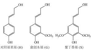 高沸醇溶剂法提取胡萝卜木质素开放实验设计<sup>*</sup>