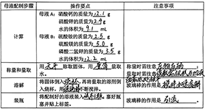 渗透劳动教育的初中化学跨学科实践活动——初探生菜水培营养液条件及自动调节