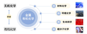 基于核心素养培养的金属有机化学教学创新与实践<sup>*</sup>