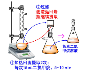有机化学新实验:番茄酱中番茄色素的提取与色谱分离<sup>*</sup>