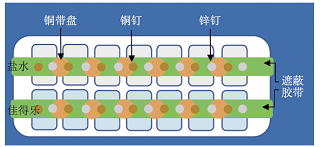 指向科学启蒙的化学互动实践<sup>*</sup>——美国化学会ACS Kids Zone科学活动简介