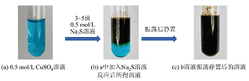 基于问题解决的主题式实验探究教学<sup>*</sup>——铜离子与硫离子的反应
