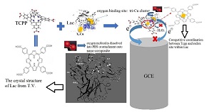 固酶卟吩衍生物功能化氧化石墨烯电催化氧还原性能综合性物理化学实验设计<sup>*</sup>