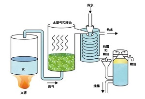 HTML5技术在项目式教学中的应用<sup>*</sup>——“橙精油的提取和测定”综合实验