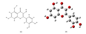 基于Autodock软件的槲皮素与诱导性一氧化氮合酶分子对接实验教学<sup>*</sup>