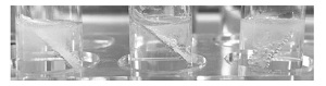 高三化学探究教学之实验方案设计与证据推理<sup>*</sup>——镁与不同溶液的反应探究