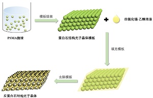 反蛋白石光子晶体比色检测有机溶剂创新实验设计<sup>*</sup>
