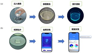 碳量子点荧光水凝胶用于汗液中尿素的可视化检测本科生综合实验<sup>*</sup>