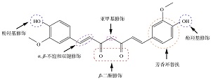 基于学科交叉融合及创新能力培养的实验教学<sup>*</sup>——姜黄素衍生物合成及物理常数测定