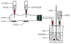 燃烧条件的探究和氧气、二氧化碳制取的学科内融合实验设计<sup>*</sup>