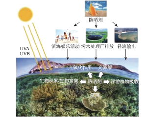 防晒霜对海洋生态的破坏及应对措施<sup>*</sup>