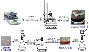 模拟退役锂电池三元正极材料有价金属回收再利用综合实验教学设计<sup>*</sup>