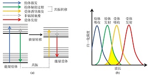 基于荧光素-罗丹明共混溶液的荧光共振能量转移实验教学设计<sup>*</sup>