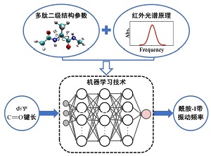机器学习技术在红外光谱教学中的应用<sup>*</sup>