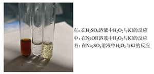 Exploration Teaching of High School Chemistry Experiments Based on Model Cognition and Evidence Reasoning: Reaction of Hydrogen Peroxide with Potassium Iodide