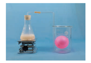 Promoting Deep Learning of Chemistry Based on Innovative Experiments: Exploring Properties of Oxygen and Carbon Dioxide