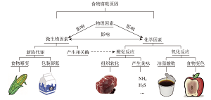 食物腐败的化学机制与防腐方法和机理<sup>*</sup>