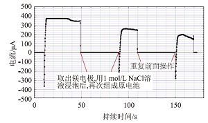 探究“氯离子钻入效应”对金属保护膜的破坏作用<sup>*</sup>