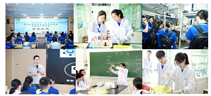 高校化学学科开展科普工作的意义、内容及措施<sup>*</sup>