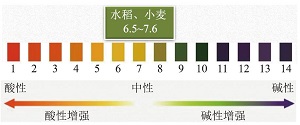 融入思政教育和模型认知的沉淀溶解平衡深度学习<sup>*</sup>——盐碱地的改良