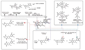 涩味物质的化学基础与健康价值