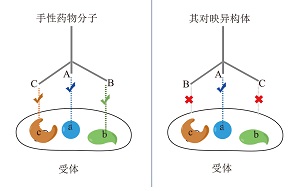 核心素养导向的高中立体化学教学——药物分子与“结构性质用途”的关联模型