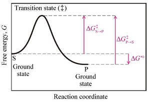 “有机化学-生物化学”融合式跨学科教学——基于势能图的跨学科知识迁移与应用研究