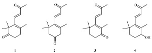 紫罗兰酮与大马酮类风味化合物的半系统命名建议