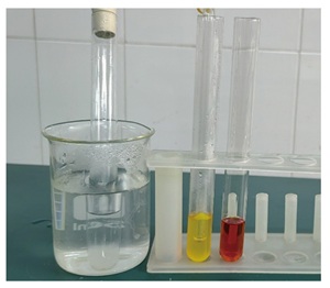 基于社会性科学议题培养核心素养的“卤代烃”教学——DDT的利弊与存废