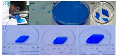 加强晶体化学和分子结构模型理解的硫酸铜晶体制备科普实践<sup>*</sup>