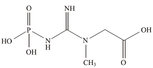 健身运动中的生命化学机理:能量代谢、肌肉重塑与恢复调控<sup>*</sup>