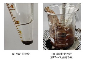 体现产学研融合的锌焙砂制备硫酸锌的实验条件优化研究<sup>*</sup>